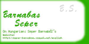 barnabas seper business card